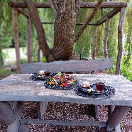 Stara Szkolas7 Noclegi,Mzajezierze 8 14-330 Mazury Maldeuten Exterior foto