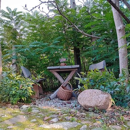 Stara Szkolas7 Noclegi,Mzajezierze 8 14-330 Mazury Maldeuten Exterior foto