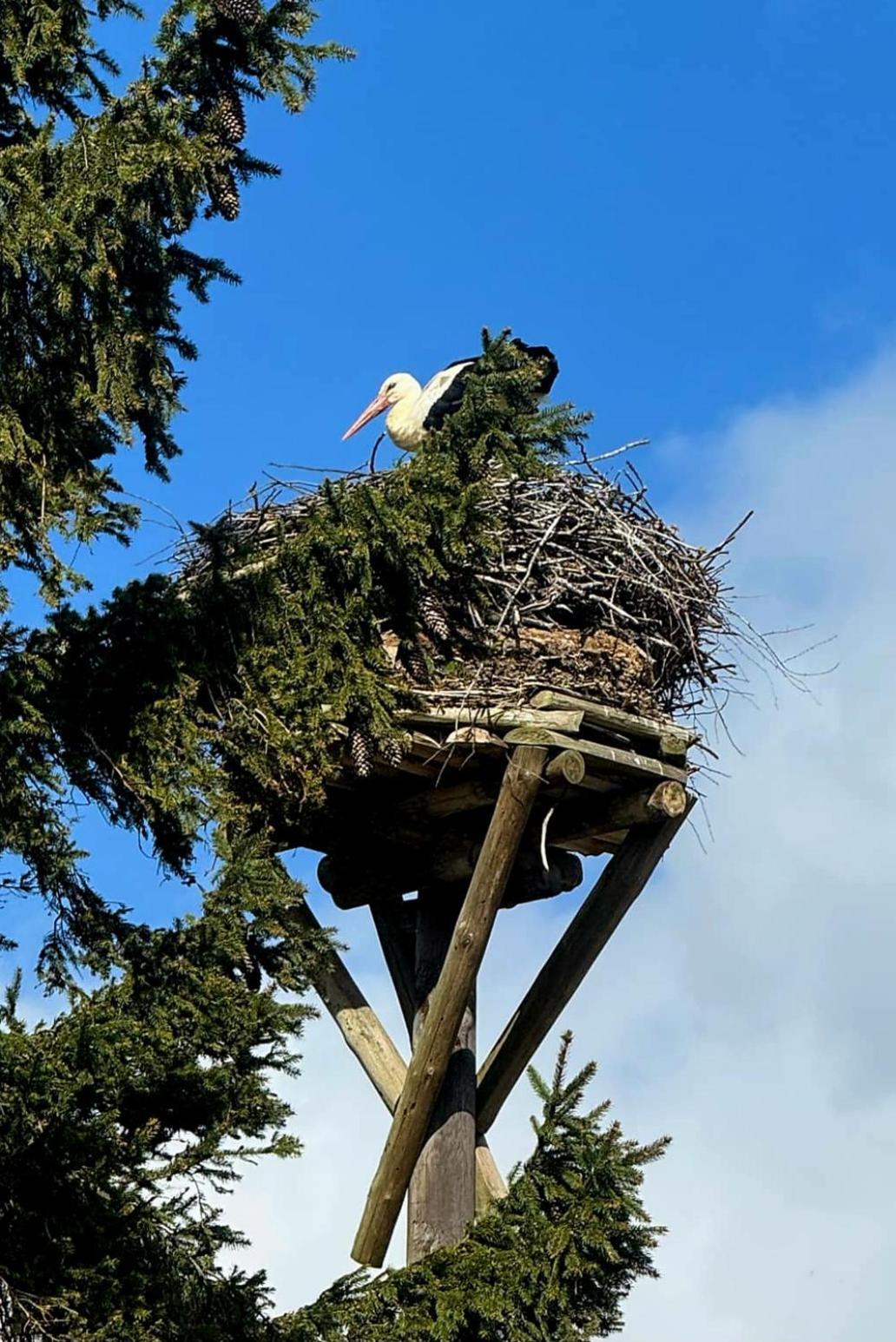 Stara Szkolas7 Noclegi,Mzajezierze 8 14-330 Mazury Maldeuten Exterior foto